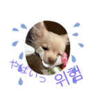 こころ君 にゃんにょ（個別スタンプ：6）