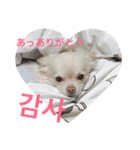 こころ君 にゃんにょ（個別スタンプ：7）