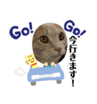 もなかの中身は白あん（個別スタンプ：5）