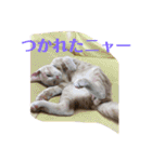 もなかの中身は白あん（個別スタンプ：21）
