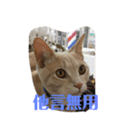 もなかの中身は白あん（個別スタンプ：24）