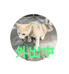もなかの中身は白あん（個別スタンプ：28）