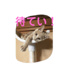 もなかの中身は白あん（個別スタンプ：30）