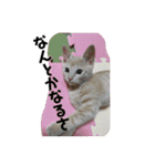 もなかの中身は白あん（個別スタンプ：35）