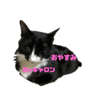 キャロンちゃん❤ルフィ〜くん（個別スタンプ：1）