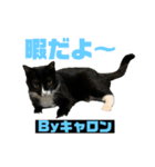 キャロンちゃん❤ルフィ〜くん（個別スタンプ：6）