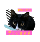 キャロンちゃん❤ルフィ〜くん（個別スタンプ：8）
