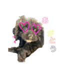 竹林おはぎ（個別スタンプ：21）