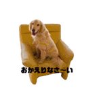 惣一郎さんの日常使いスタンプ(ゆる敬語)（個別スタンプ：17）