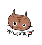 とらのきもち。（個別スタンプ：12）