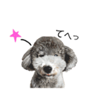 今日のSunny part2（個別スタンプ：3）