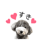 今日のSunny part2（個別スタンプ：5）