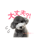 今日のSunny part2（個別スタンプ：11）