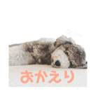 今日のSunny part2（個別スタンプ：18）