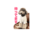 今日のSunny part2（個別スタンプ：21）
