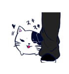 ニャンコ！！1（個別スタンプ：1）