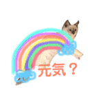 しゃーちゃん（個別スタンプ：21）