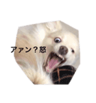 かわさきポン太（個別スタンプ：4）