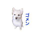 かわさきポン太（個別スタンプ：6）