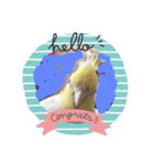 ささみ（個別スタンプ：2）