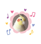 ささみ（個別スタンプ：3）