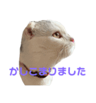垂れ耳ねこのグリコくん③（個別スタンプ：2）