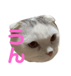 垂れ耳ねこのグリコくん③（個別スタンプ：8）