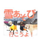 黒ラブびーたん＆チョコラブケリー5（個別スタンプ：26）