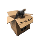 カイトとクルミの生活（個別スタンプ：9）