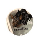 カイトとクルミの生活（個別スタンプ：14）