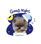 Pome's stamps（個別スタンプ：7）