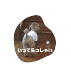 まいときはなスタンプ（個別スタンプ：21）