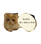 おばけさんの日々日常（個別スタンプ：24）