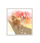 ポメラニアン・ラプソディ（個別スタンプ：40）