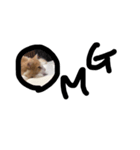 にゃんだかんだ偉そうな猫。（個別スタンプ：7）