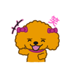 トイドルとトイプー（個別スタンプ：2）