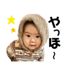 詩 時々 ネコ（個別スタンプ：1）