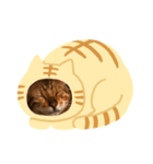 ベンガルのMくん（個別スタンプ：6）