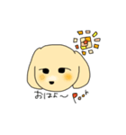 トイプードルのプーくん（個別スタンプ：8）