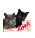 チョコ兄妹byオハナビーズ（個別スタンプ：4）
