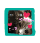 チョコ兄妹byオハナビーズ（個別スタンプ：6）