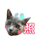 チョコ兄妹byオハナビーズ（個別スタンプ：11）