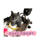 チョコ兄妹byオハナビーズ（個別スタンプ：15）