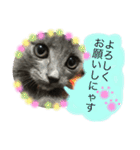 チョコ兄妹byオハナビーズ（個別スタンプ：16）