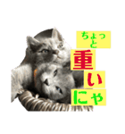 チョコ兄妹byオハナビーズ（個別スタンプ：17）