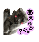 チョコ兄妹byオハナビーズ（個別スタンプ：18）