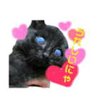 チョコ兄妹byオハナビーズ（個別スタンプ：23）