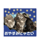 チョコ兄妹byオハナビーズ（個別スタンプ：24）