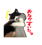 うちのちびちゃん:)（個別スタンプ：1）