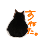うちのちびちゃん:)（個別スタンプ：5）